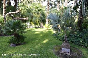 19 ELCHE HUERTO DEL CURA (64)